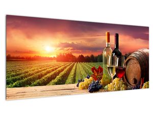 Obraz - víno a vinice při západu slunce