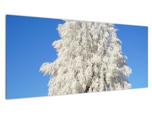 Zasněžený strom - obraz