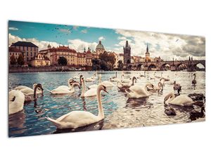 Obraz Karlova mostu / Karlův most