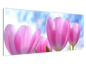 Obraz růžových tulipánů