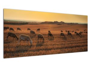 Obraz - panorama krajiny na zeď