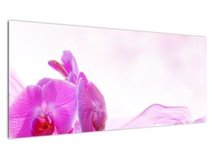 Obraz orchideje