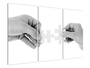 Černobílý obraz - puzzle