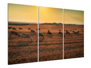 Obraz - panorama krajiny na zeď