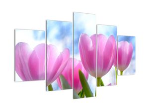 Obraz růžových tulipánů