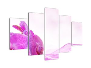 Obraz orchideje