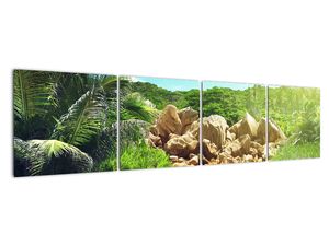 Obraz jezera na Seychelách