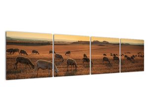 Obraz - panorama krajiny na zeď