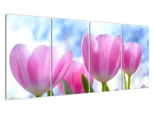 Obraz růžových tulipánů