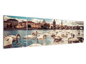 Obraz Karlova mostu / Karlův most