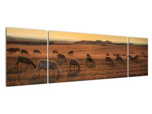 Obraz - panorama krajiny na zeď