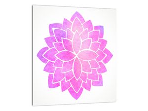 Obraz: růžová mandala