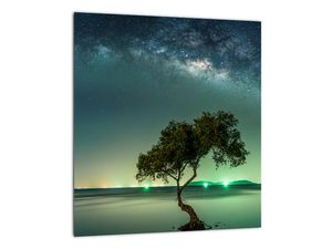 Obraz - magická noc