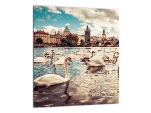 Obraz Karlova mostu / Karlův most