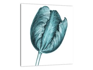 Obraz zeleného tulipánu