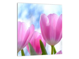 Obraz růžových tulipánů